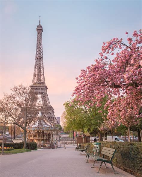 Cherry Blossom Background Eiffel Tower Wallpaper Bc3