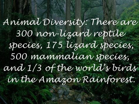 Amazing Facts And Figures Of The Amazon Rainforest