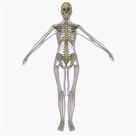 Coco Naked Female Skeleton Telegraph