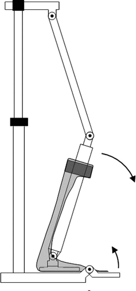 Figure 1 From Polypropylene Ankle Foot Orthoses To Overcome Drop Foot