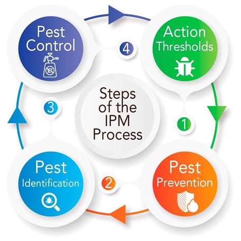 Steps Of The Ipm Process For Pest Control Pest Control And Pest Control