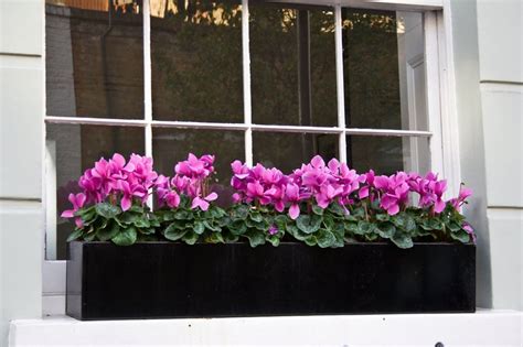 We did not find results for: Window boxes London | Window Boxes | Garden Planters ...