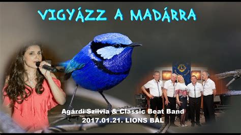 Agárdi szilvia joshinak mesélt arról, milyen is egy látássérült élete. Agárdi Szilvia & Classic Beat Band LIONS bál 2017 01 ...