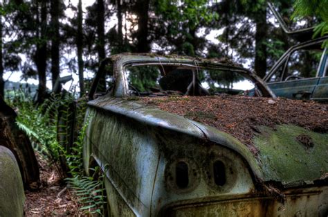 Forest Full Of Abandoned Cars Photos Image 13 Abc News