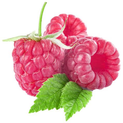 Raspberries Clipart 20 Free Cliparts Download Images On Clipground 2021