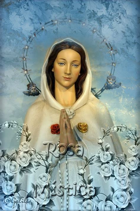 Imágenes Religiosas De Galilea Virgen María Rosa Mística