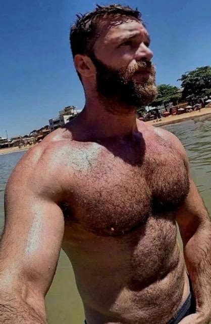 Shirtless Male Beefcake Muscular Beefy Hairy Chest Beard Hunk Photo 4x6 D446 4 29 Picclick