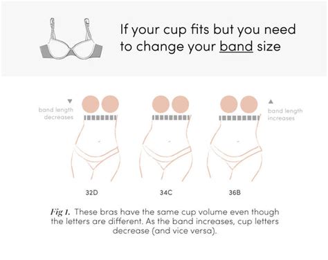 sister sizes the bra secret every woman should know thirdlove