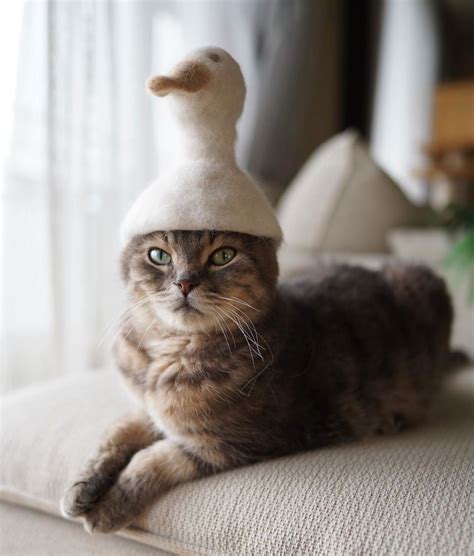 15 funny and trendy cats with hats of their own fur made by japanese artist ryo yamazaki