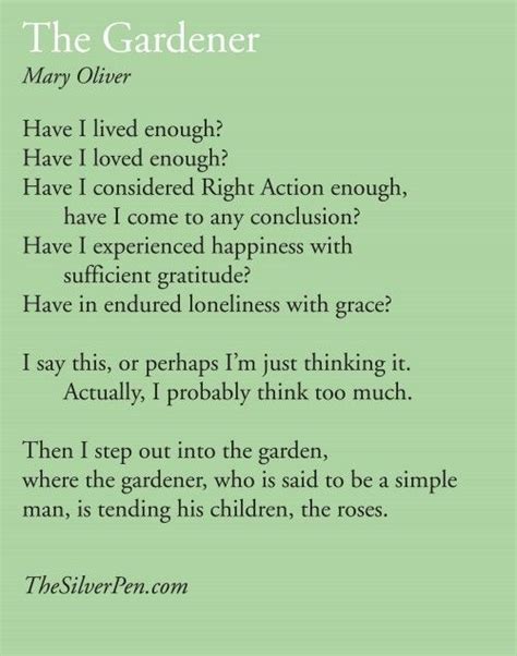 34 Best Images About Mary Oliver Quotes On Pinterest To Be Poems And