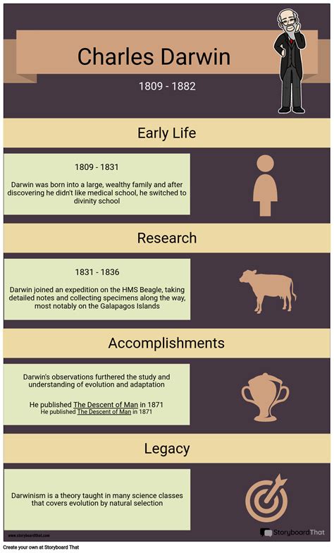 History Infographic Example Storyboard Par Marketing Assets The Best