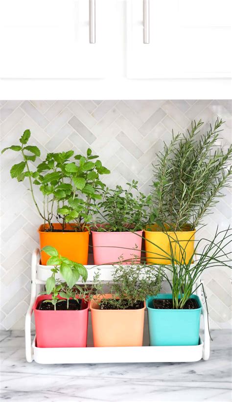 Make A Colorful Indoor Herb Garden A Beautiful Mess