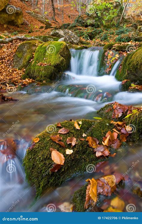 Brook In Autumn Forest Stock Photo Image Of Fluid Peace 17422706