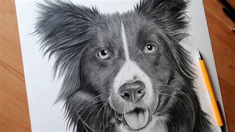 Discover 73 Realistic Dog Drawing Latest Nhadathoanghavn