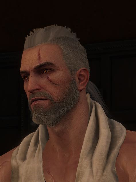 Some time ago in the network there was information that beard of geralt in the the witcher 3 : NVIDIA HairWorks in the Witcher 3 | NVIDIA Developer