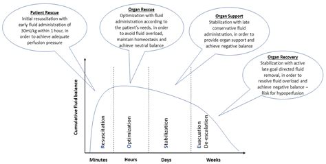 Fluid Resuscitation In Sepsis Encyclopedia Mdpi