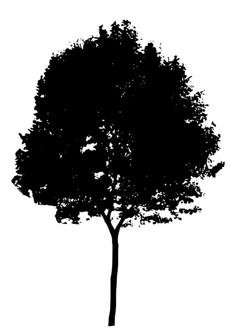 All of these tree silhouette resources are for free download on pngtree. Tree | Free Stock Photo | Illustration of a tree ...