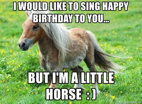 Funny Horse Birthday Memes I Would Like To Sing Happy Birthday To You
