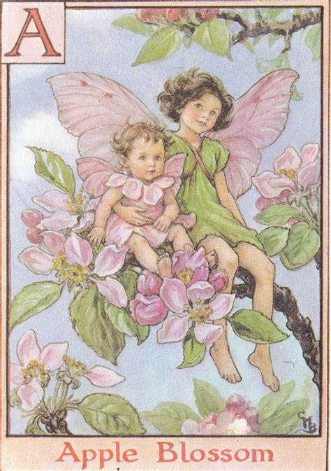 From A Flower Fairy Alphabet 1934 By Cicely Mary Barker Fairy Art