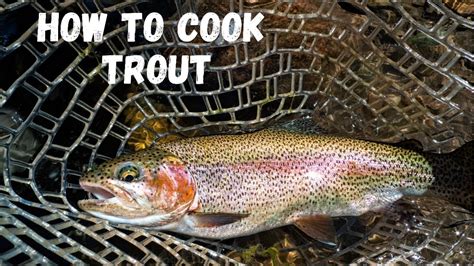 Cook Trout Air Fryer 2 Ways Fast And Simple Youtube