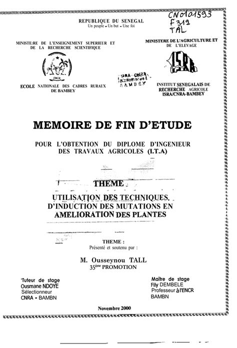 Exemple De Mémoire Fin Détude Japrijepo
