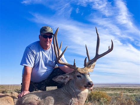 Mule Deer Hunting New Mexico Bmo Hunts