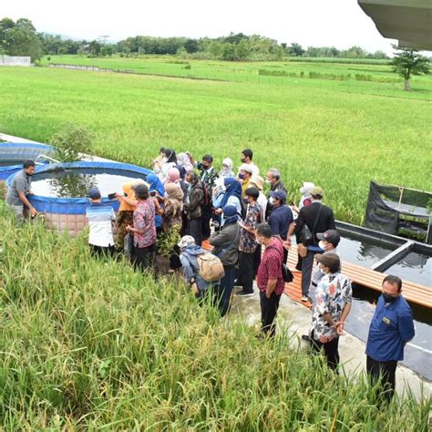 Berita Kunjungan Kepala Dinas Pertanian Se Jawa Tengah Di Lahan Integrated Farming Jagan