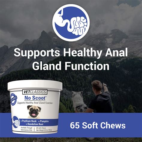 Buy Vet Classics No Scoot Dog Supplements For Healthy Anal Gland