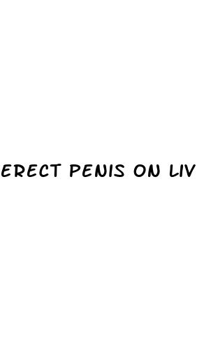 Erect Penis On Live Tv