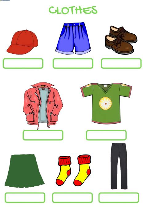 Clothes Exercise For Beginner Clothes Worksheet English Lessons For