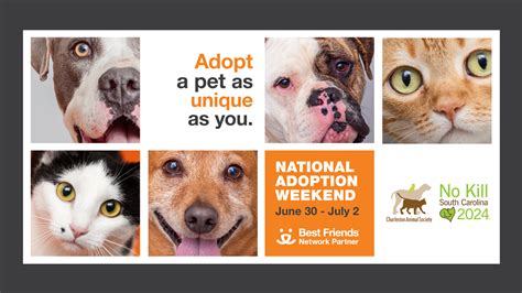 Best Friends National Adoptions Weekend Returns Charleston Animal Society