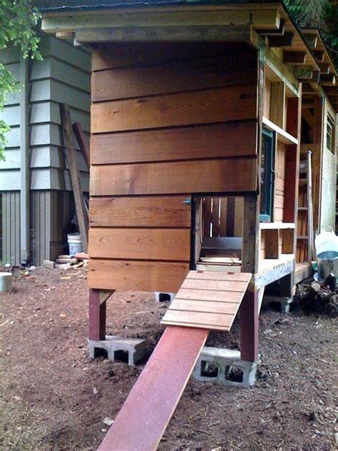 8 Things You Should Know About Your Chicken Coop Ramp