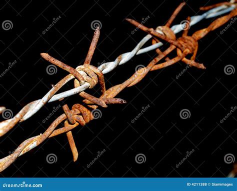Barb Wire Jesus Christ Crucifixion Royalty Free Stock Photo