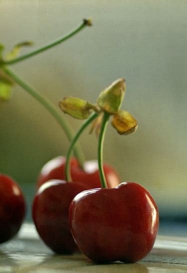 Cherries Cherry Cherry Baby Red Fruit
