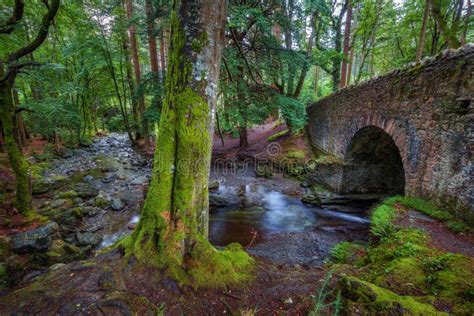 Tollymore Forest Natural Park Northern Ireland Waterfall Long Exposure