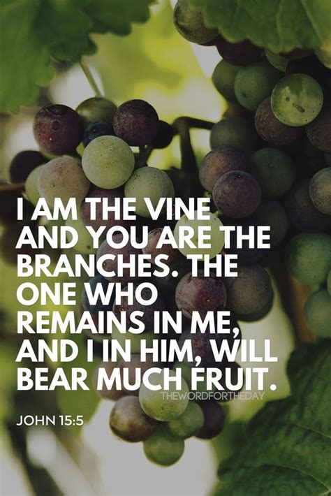 The Word For The Day I Am The Vine You Are The Branches If You