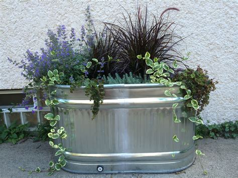 Pin On Container Gardening