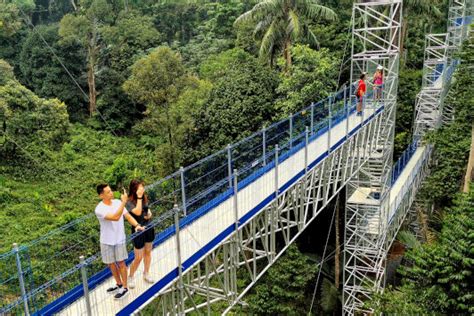 Skywalk At Kepong Botanical Gardens Malaysia Update 2022