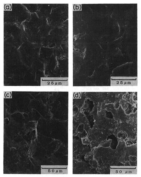 Figure 9 From Preparation Of Cordierite Ceramics From Metal Alkoxides