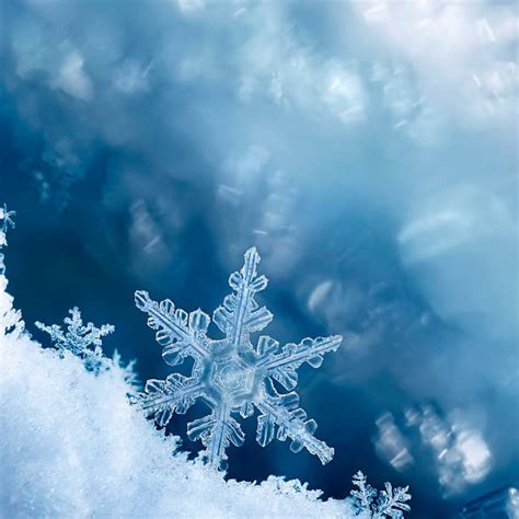 Royalty Free Snowflake Pictures Images And Stock Photos Istock