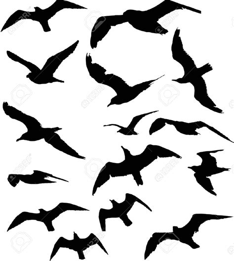 Seagull Silhouette Tattoo At Getdrawings Free Download