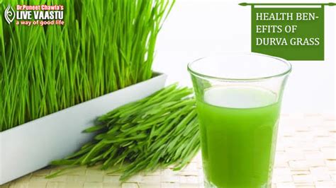Health Benefits Of Durva Grass