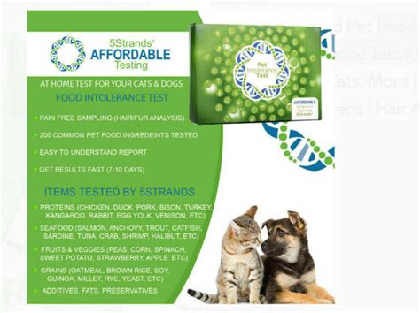 At Home Pet Allergy Test Kit Brand New 100 Free Shipping On Sale