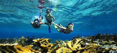 Great Places To Go Snorkeling In The Maldives Tourist