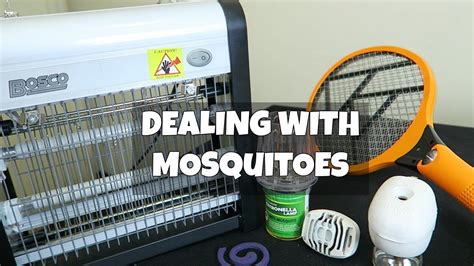 Best Way To Kill Or Repel Mosquitoes Youtube