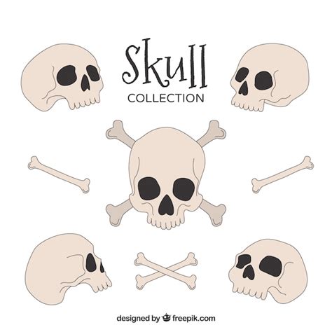 Premium Vector Hand Drawn Collection Of Skulls And Bones