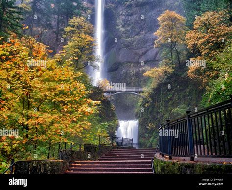 Multnomah Falls With Steps And Fall Color Columbia River Gorge Stock