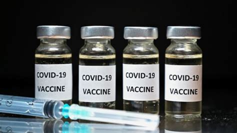 Vakcinacija I Zarazne Bolesti Kako Je Imunizacija Iskorenila Mnoga