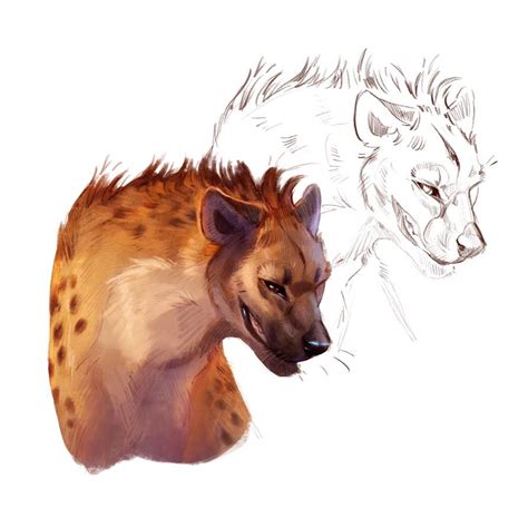 Hyena Study By Corvushound On Deviantart Canine Art Canine Drawing