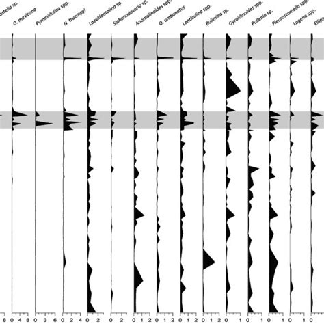 The δ 18 O Records And Benthic Foraminiferal Numbers At Odp Site 1051